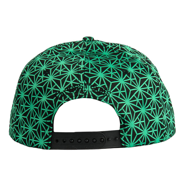 Removable Bear Geo Triangles Seafoam Snapback Hat