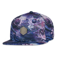 13th Anniversary Black Fitted Hat
