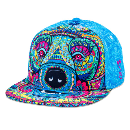 Phlo Designs Columbine Removable Logo Black Strapback Hat