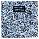 Blue River Paisley Long Sleeve Button Up Shirt