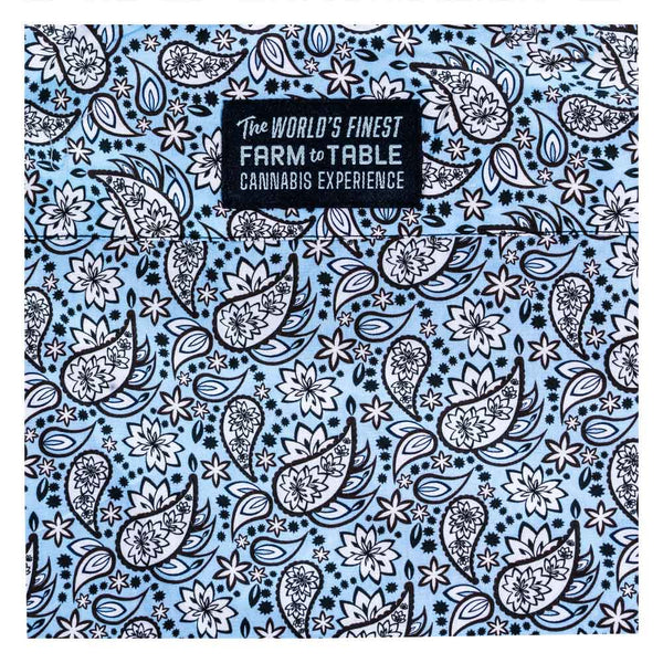 Blue River Paisley Long Sleeve Button Up Shirt