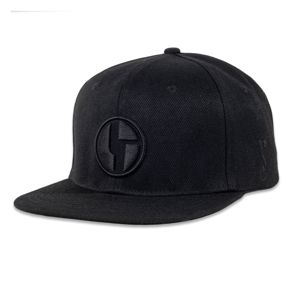 The Disco Biscuits Black Snapback Hat