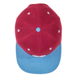 The Disco Biscuits Maroon Blue Snapback Hat