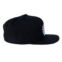 GPaw Tie Dye Black Snapback Hat