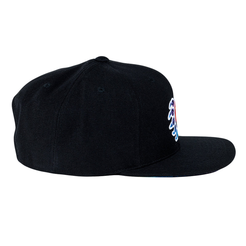GPaw Tie Dye Black Snapback Hat