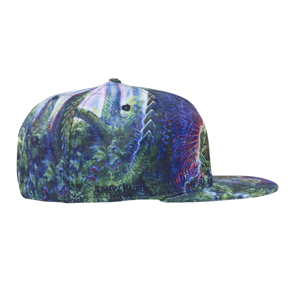 Simon Haiduk Fable Print Fitted Hat