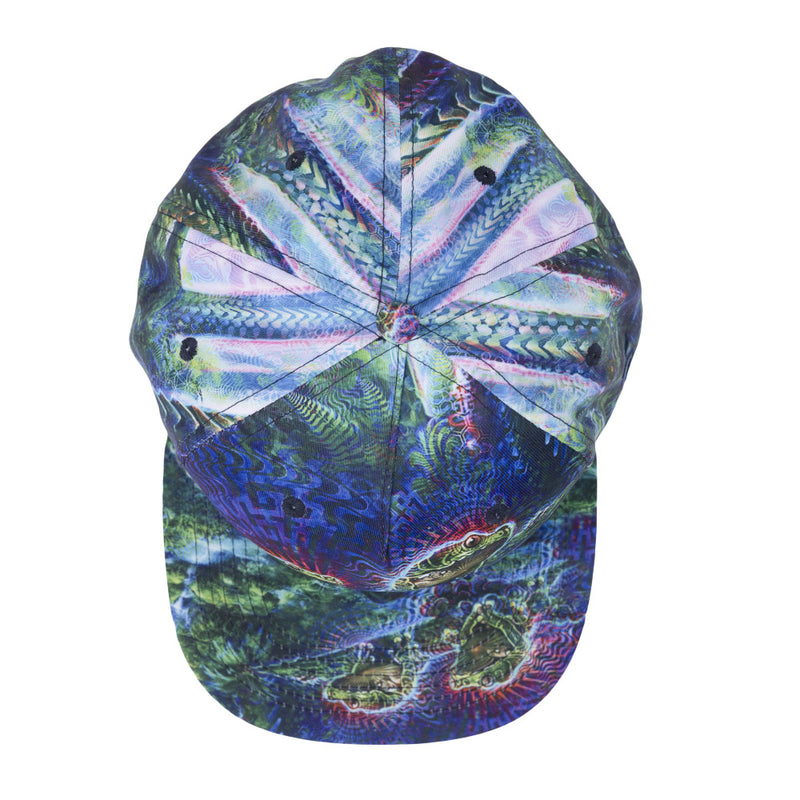 Simon Haiduk Fable Print Fitted Hat