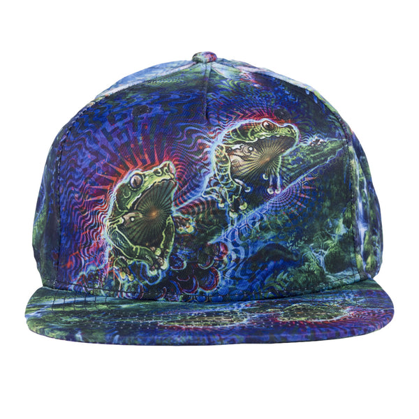 Simon Haiduk Fable Print Fitted Hat