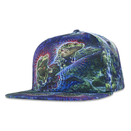 Vincent Gordon Hashington Blue Snapback Hat