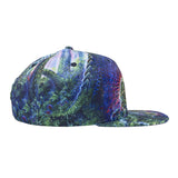 Simon Haiduk Fable Print Snapback Hat