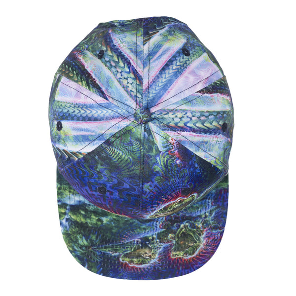 Simon Haiduk Fable Print Snapback Hat