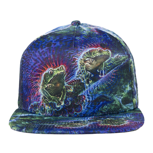 Simon Haiduk Fable Print Snapback Hat