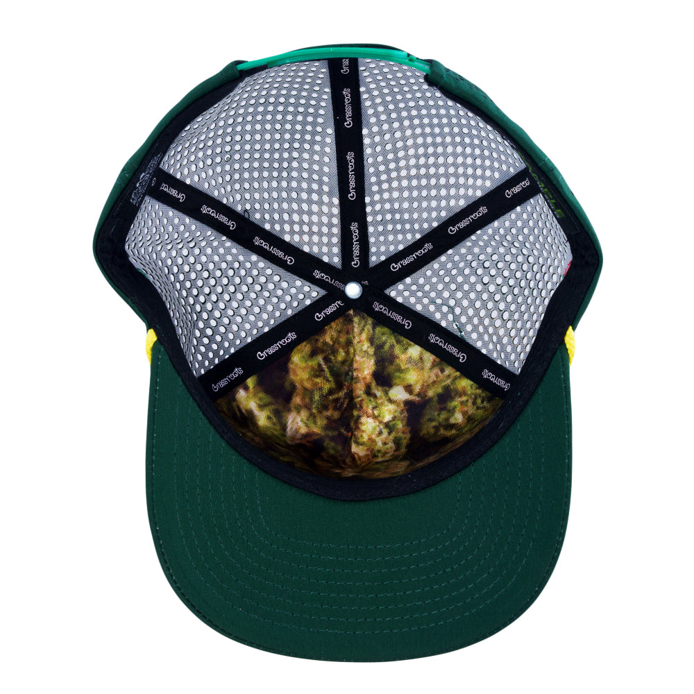 Kush Bear Dri-Bear Athletic Snapback Hat