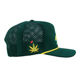 Kush Bear Dri-Bear Athletic Snapback Hat