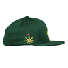 Kush Bear Dri-Bear Green Fitted Hat