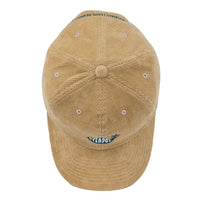 Boston Beer Teapot Dad Hat